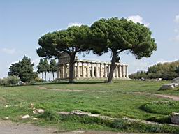 Paestum - Temple of Athena with Trees.JPG